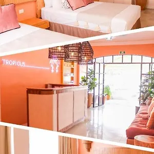 *** Hotel Tropicus Boutique Mexico